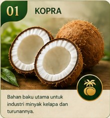 Kopra Putih
