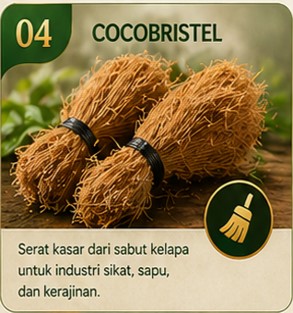Cocobristle