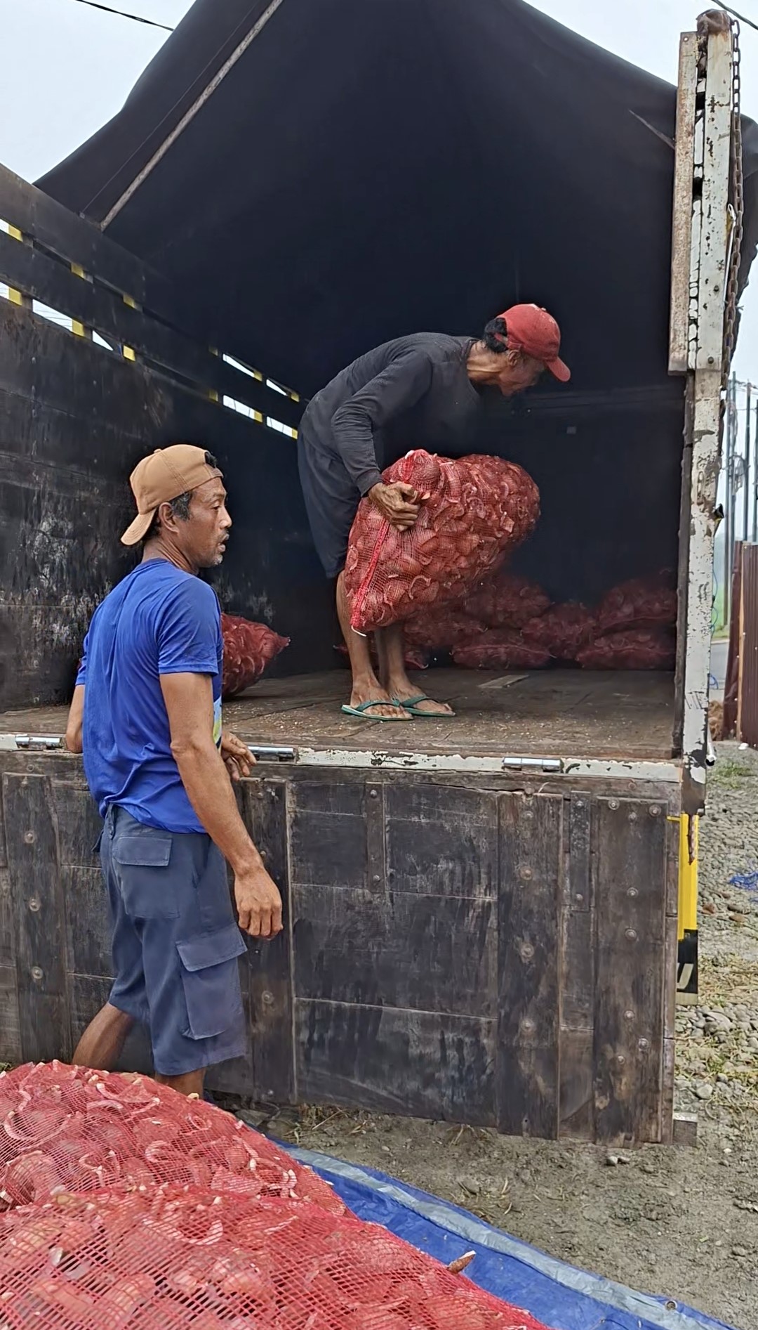 Pekerja memuat karung tempurung kelapa ke dalam truk